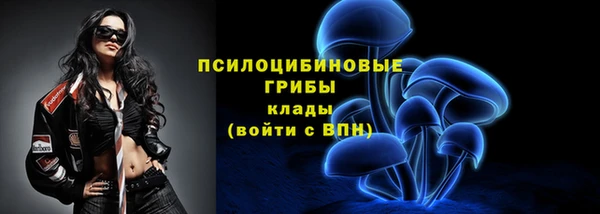 винт Михайлов