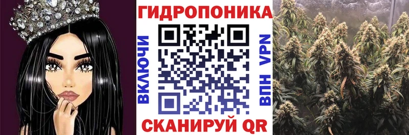 где найти наркотики  Гаврилов Посад  МАРИХУАНА марихуана 